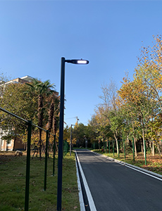 street light light with controller02