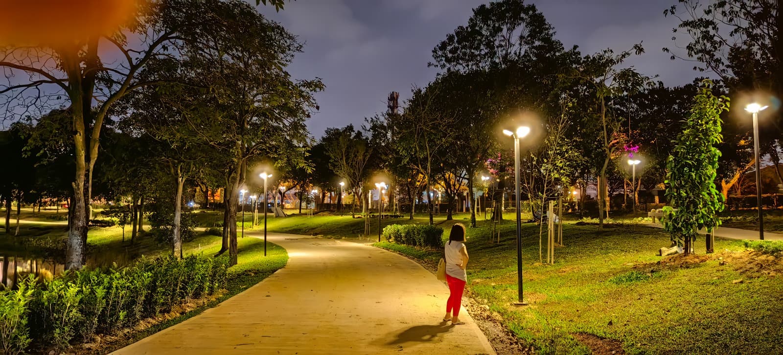 La iluminación se convierte en parte del ecosistema de emergencia de la ciudad